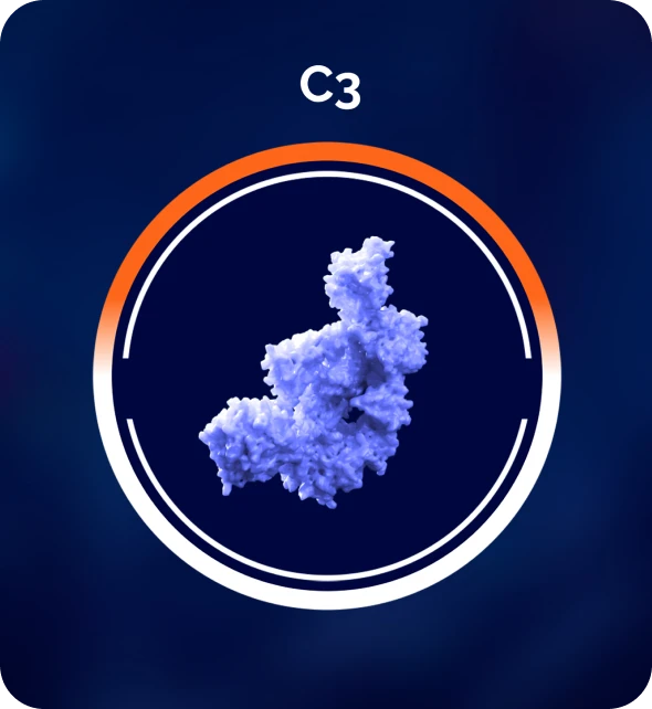 C3 Complement Activation Graphic