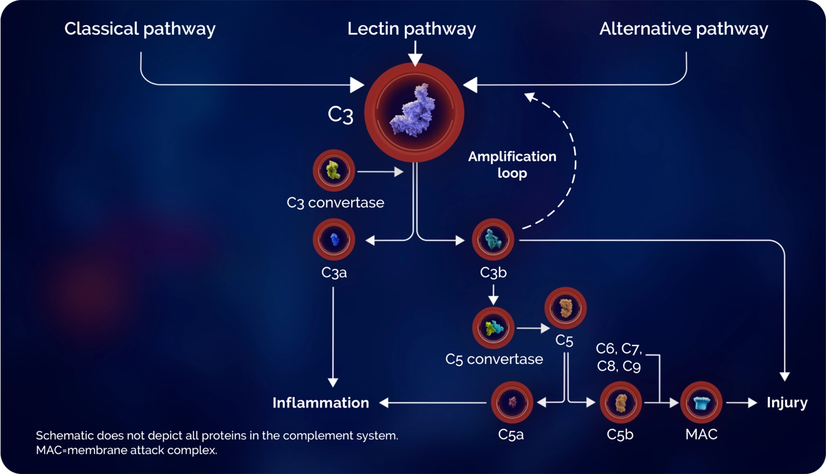Cascade Diagram Graphic